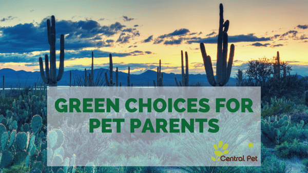 Green choices for Pet Parents in Arizona