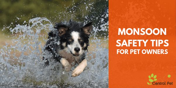 CP-Monsoon_Safety_Tips