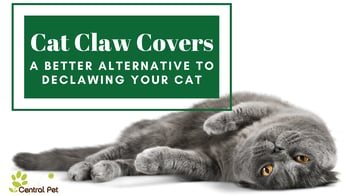 Cat Claw Covers - A better alternative to declawing your cat