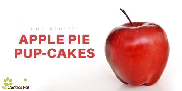 CP_Apple_Dog_Treats