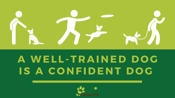 A well trained dog is a confident dog