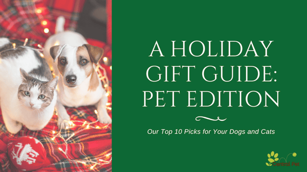 Pet gift guide for the Christmas season