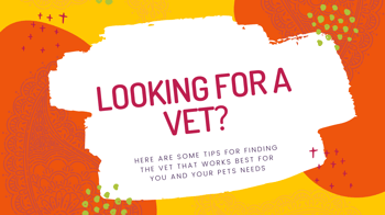 Tips for finding a new vet
