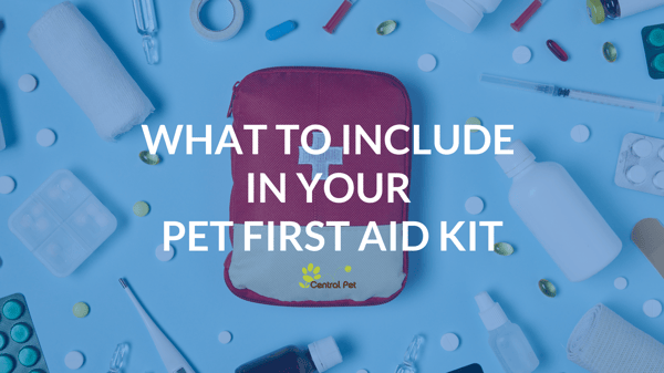 What to include in your pet first aid kit