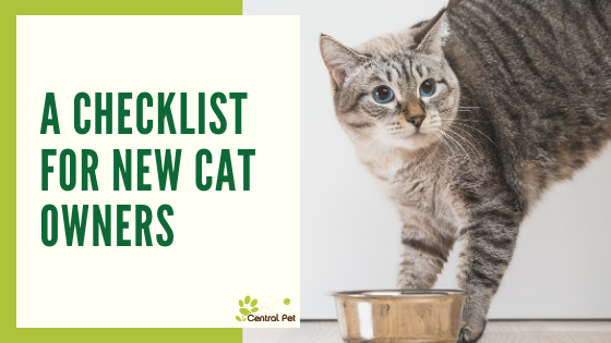 the ultimate cat owner checklist