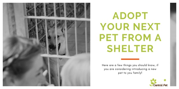 CentralPet-Pet_Adoption