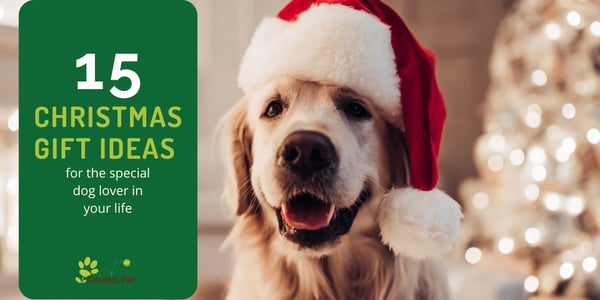 Gift Ideas for the dog lover in your life