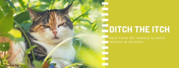 Ditch the itch