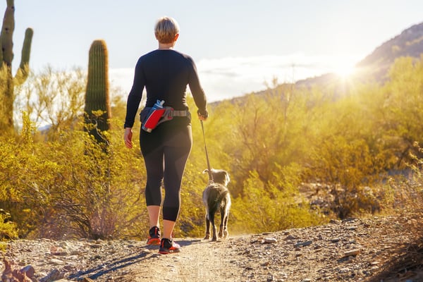 Valley Fever in Arizona-Central Pet
