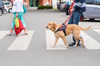 Working_Dogs_Central_Pet