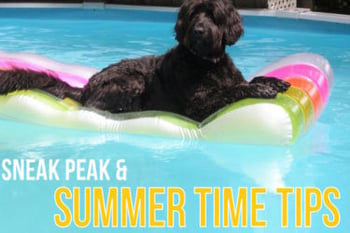 summer-tips-e1532562929867