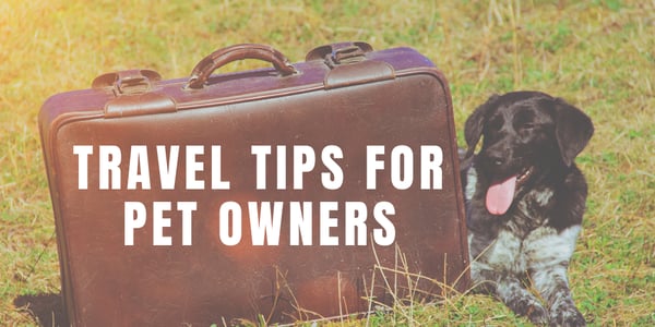 travel tips for pet owners